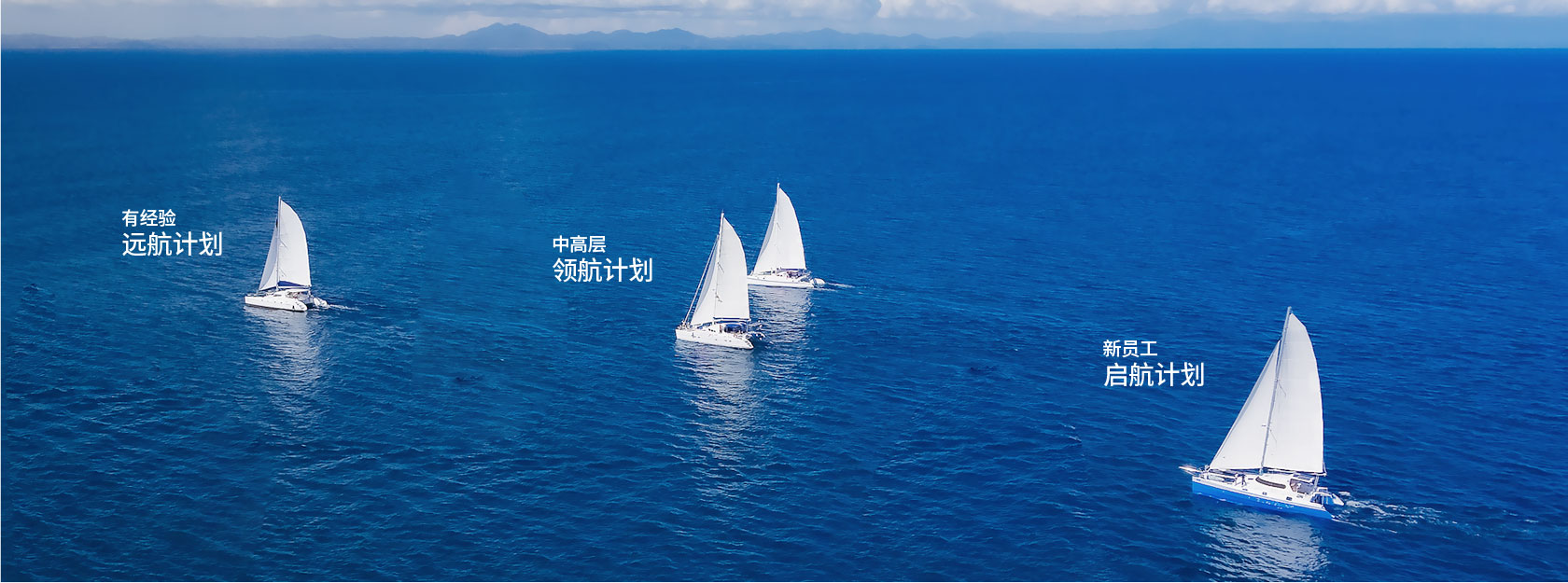 为公司一连增添储备人才